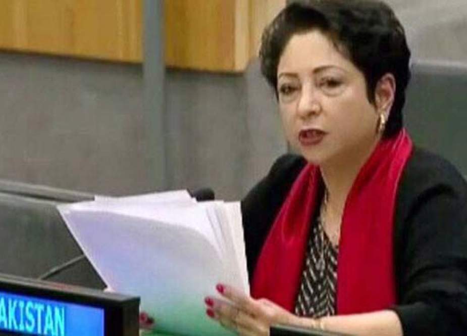 پاکستانی فوج اور عوام نے دہشتگردی کو چیلنج کے طور پر قبول کیا، ڈاکٹر ملیحہ لودھی