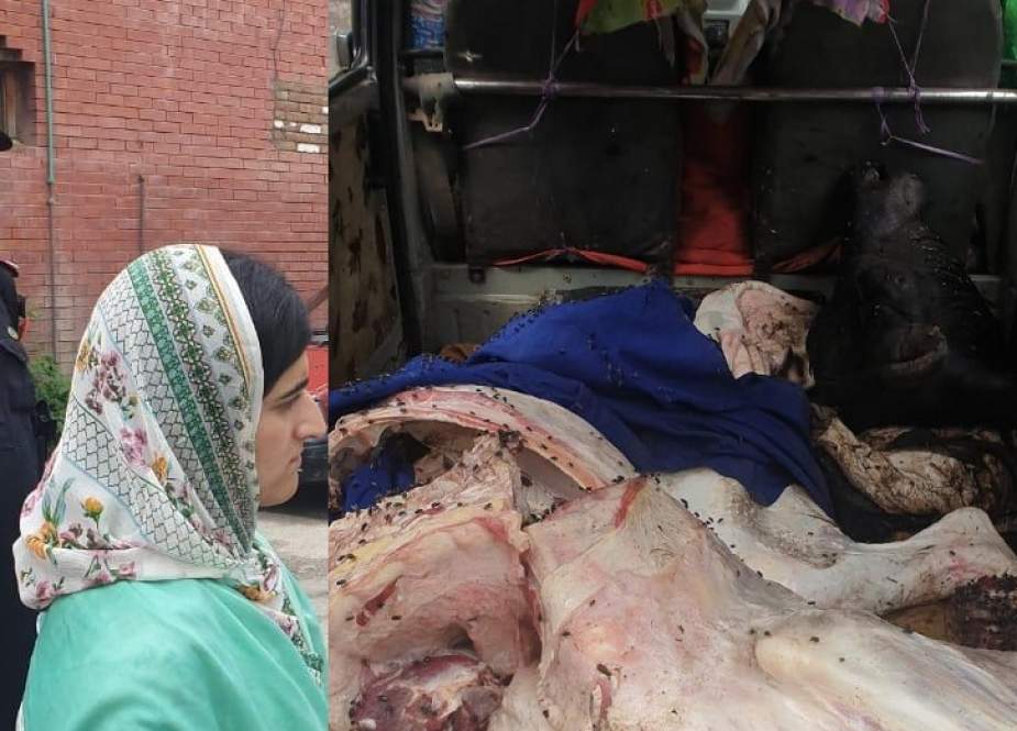 پشاور، مردہ جانوروں کا گوشت فروخت کرنیوالا ملزم گرفتار