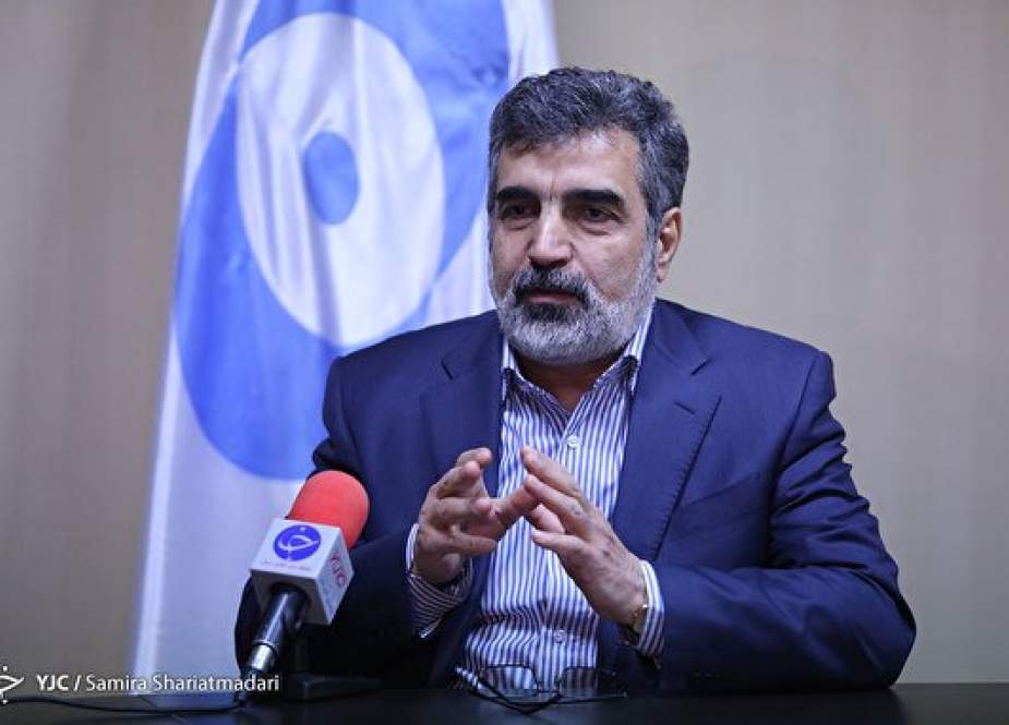 Spokesman of the AEOI, Behrouz Kamalvandi
