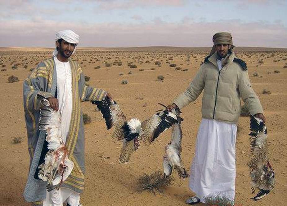 سندھ میں جانوروں اور پرندوں کے شکار پر پابندی عائد