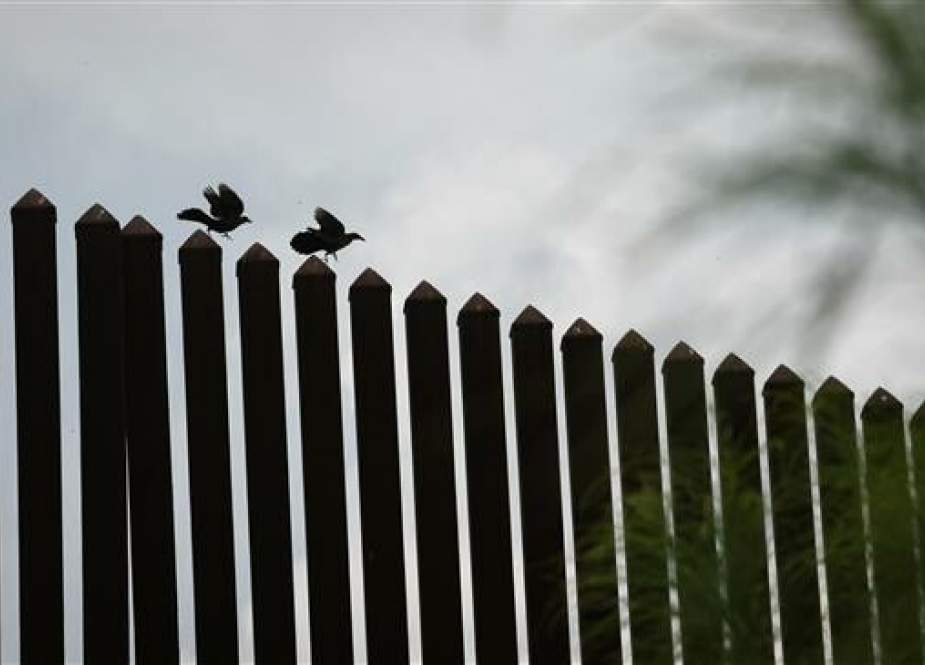 Birds fly near a section of border fence near the US-Mexico border on June 12, 2019, in Hidalgo, Texas. (AFP photo)