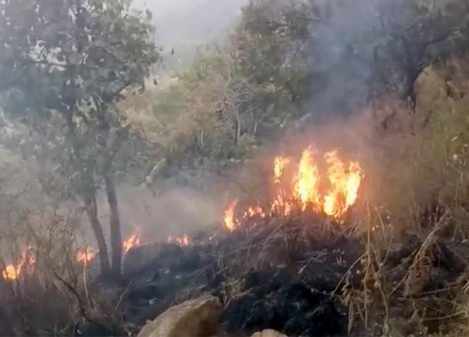 خیبر پختونخوا، جنگلات میں آگ لگنے کے واقعات، 2 لاکھ سے زائد درخت جل گئے