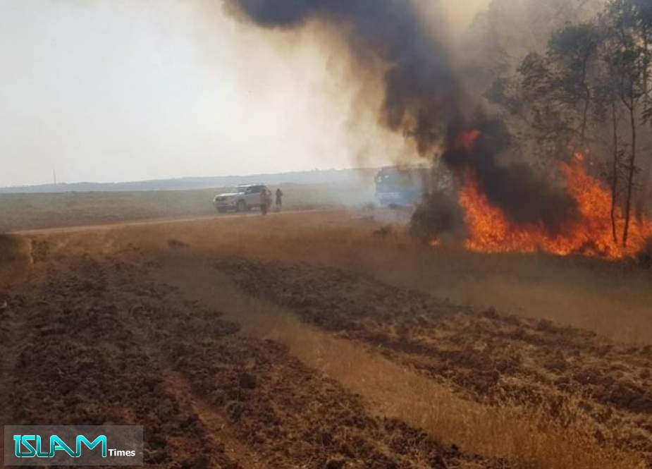 حرائق في مستوطنات غلاف غزة بسبب البالونات الحارقة