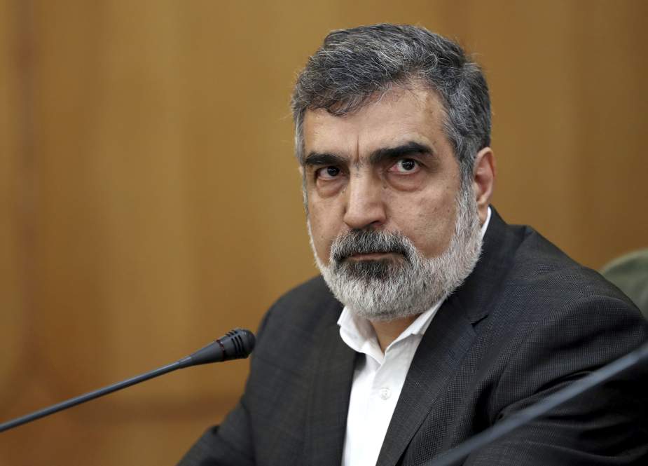 Behrouz Kamalvandi, spokesman for the Atomic Energy Organization of Iran
