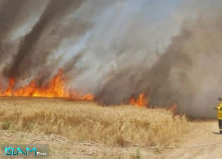 اندلاع حريق في كيبوتس صهيوني بـ‘‘غلاف غزة‘