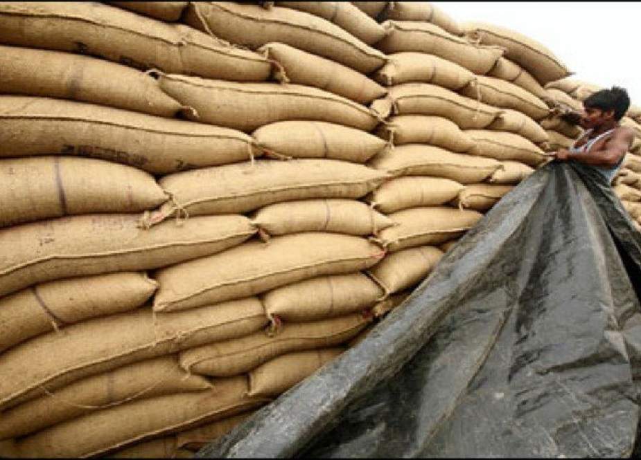 گندم اور آٹے کی برآمد پر پابندی عائد