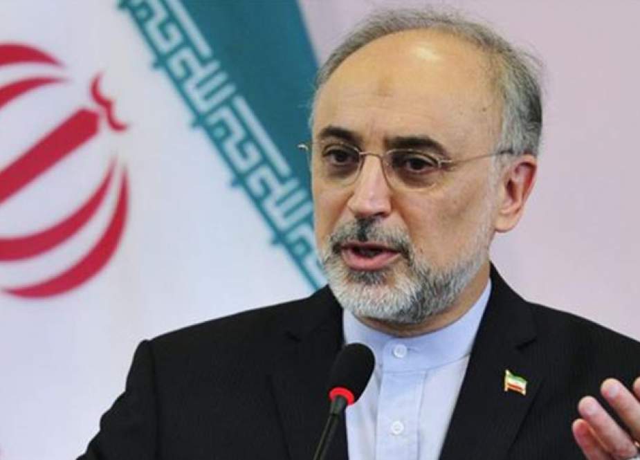 Kepala Badan Energi Atom Iran (AEOI) Ali Akbar Salehi