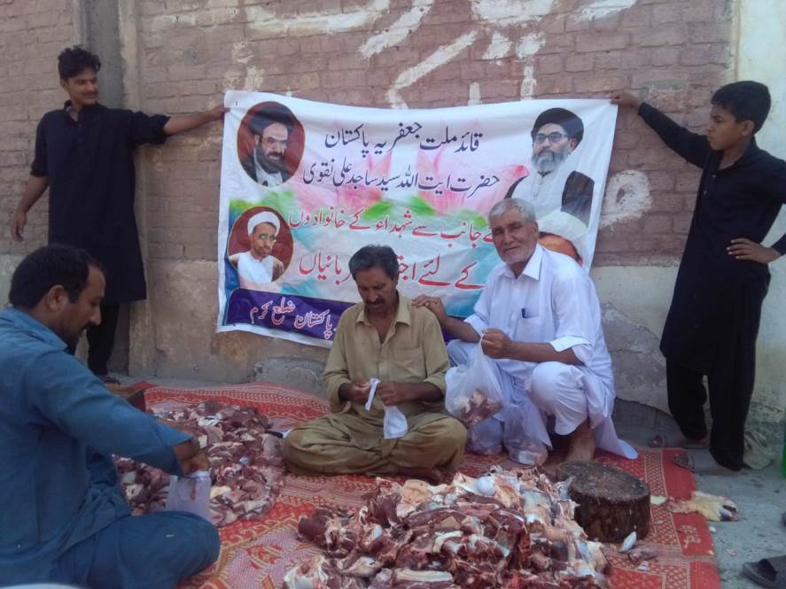 شیعہ علماء کونسل کی جانب سے پاراچنار کے مختلف علاقوں میں اجتماعی قربانیوں کا اہتمام