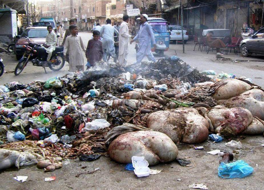 کراچی میں جانوروں کی باقیات و کچرے کے ڈھیروں سے تعفن اٹھنے لگا