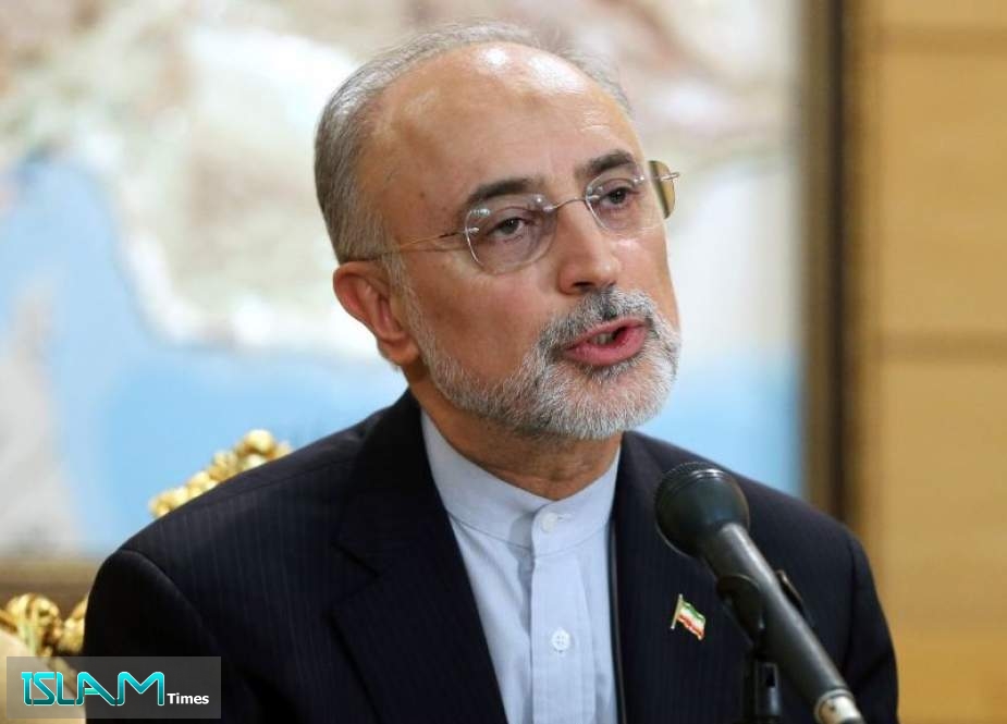 The head of the Atomic Energy Organization of Iran (AEOI) Ali Akbar Salehi