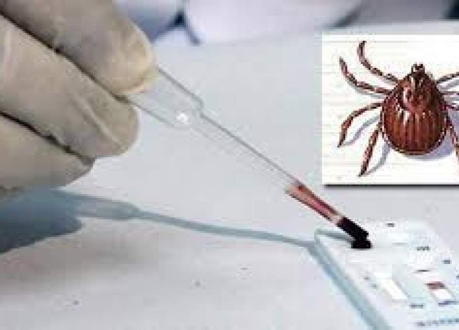 کوئٹہ میں 3 مریضوں میں کانگو وائرس کی تصدیق