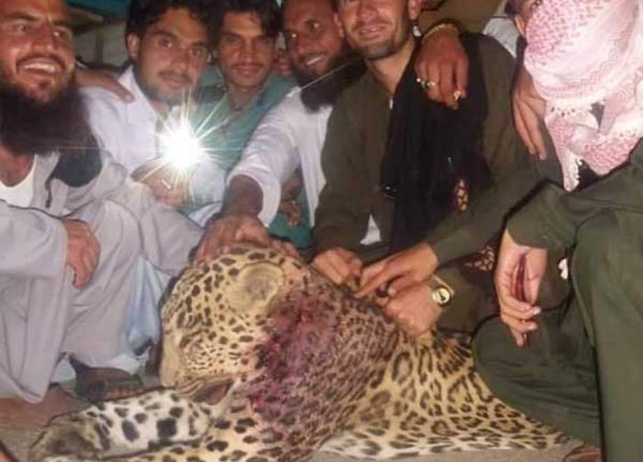 درہ آدم خیل میں مقامی افراد نے آبادی میں آنیوالے چیتے کو مار ڈالا
