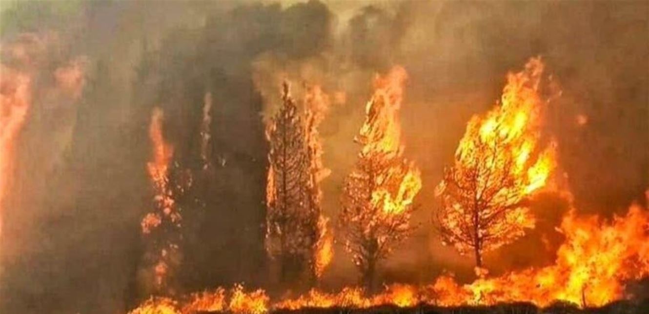 هل الحرائق في لبنان مُفتعلة أو ناجمة عن المناخ؟