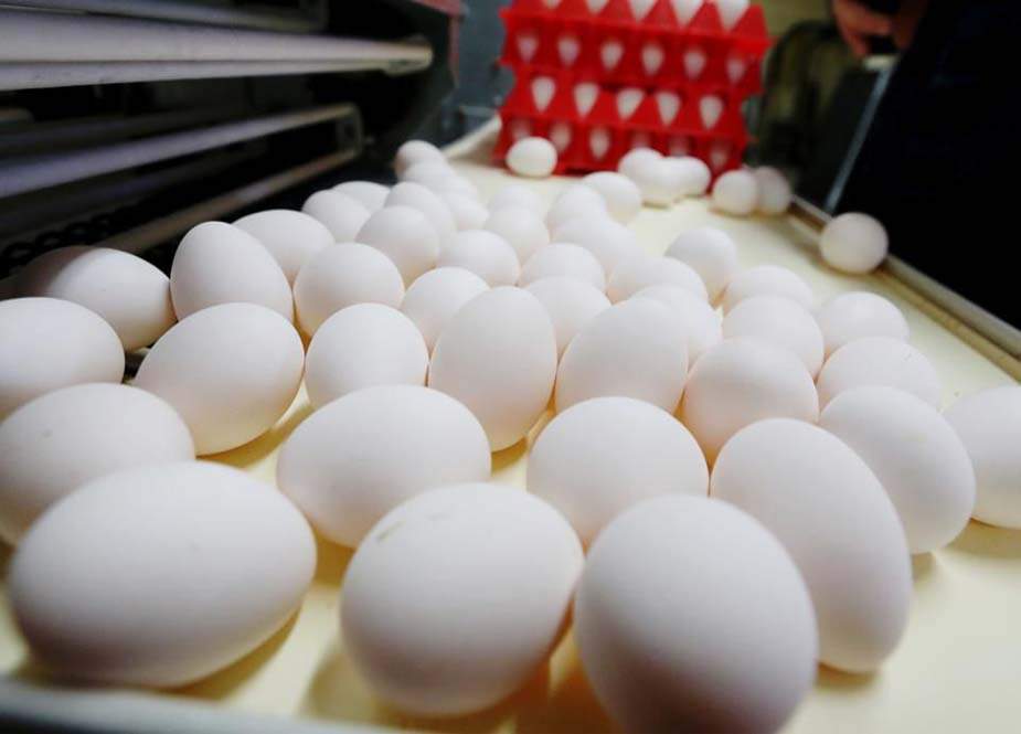 کراچی میں پلاسٹک کے انڈوں کی فروخت کا انکشاف، سپلائر گرفتار
