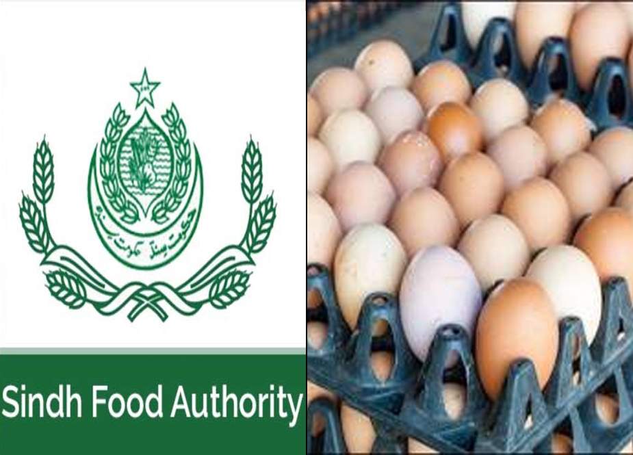 کراچی، پلاسٹک کے انڈوں سے متعلق سندھ فوڈ اتھارٹی کے متضاد بیانات