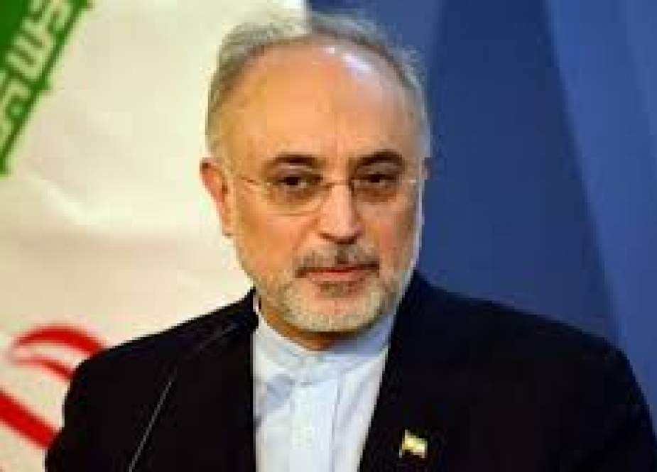 Ali Akbar Salehi - Head of the Atomic Energy Organization of Iran.jpg