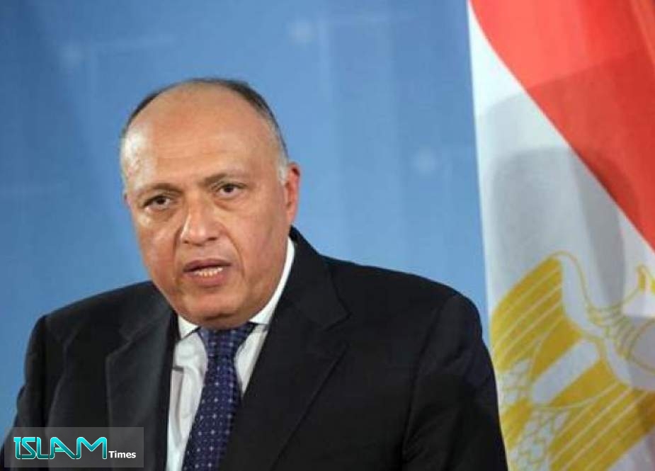 مصر تعلق على عمل اللجنة الدستورية السورية