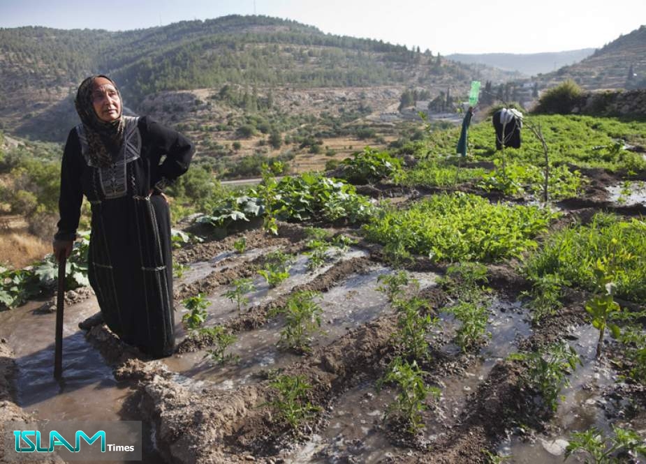 Israeli Regime Has Restricted Palestinian Farmers