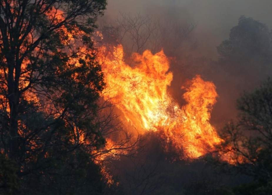 Australia Berjuang Padamkan 100 Titik Kebakaran Hutan (okezone)