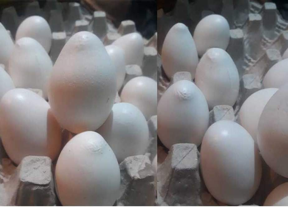 گلگت، چین سے درآمد شدہ انڈوں میں زہریلے مواد کا انکشاف