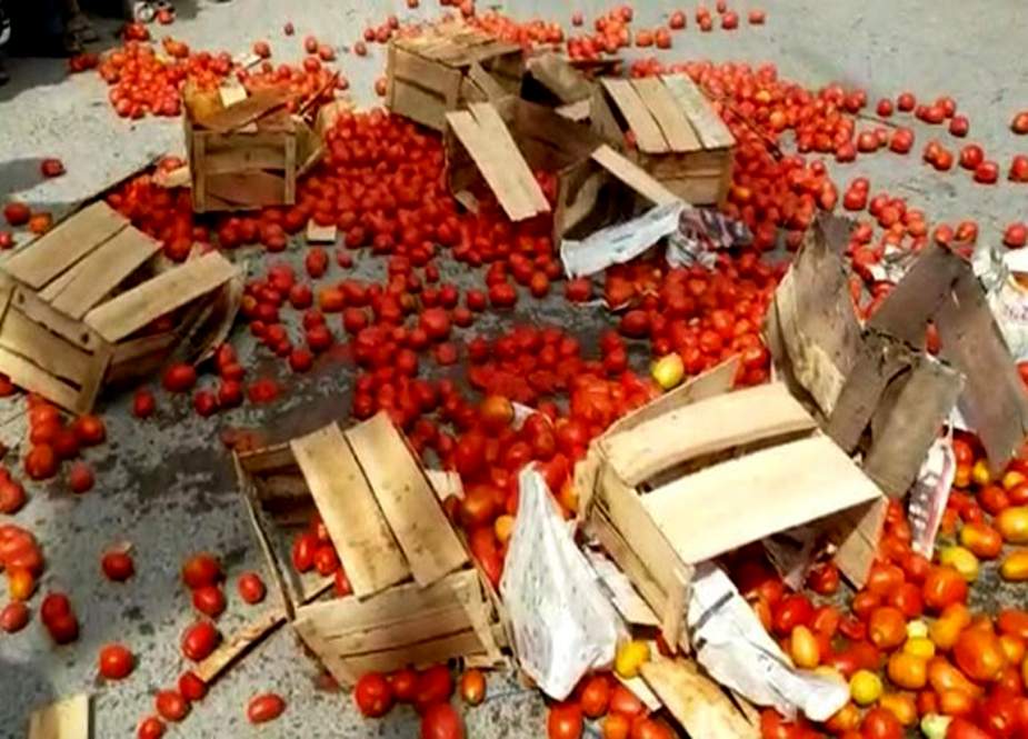 سندھ، ایک ماہ میں 400 والا ٹماٹر 5 روپے فی کلو فروخت ہونے لگا