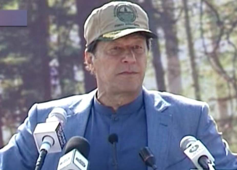ملک میں لوگوں کو جنگلات کی اہمیت ہی معلوم نہیں، عمران خان