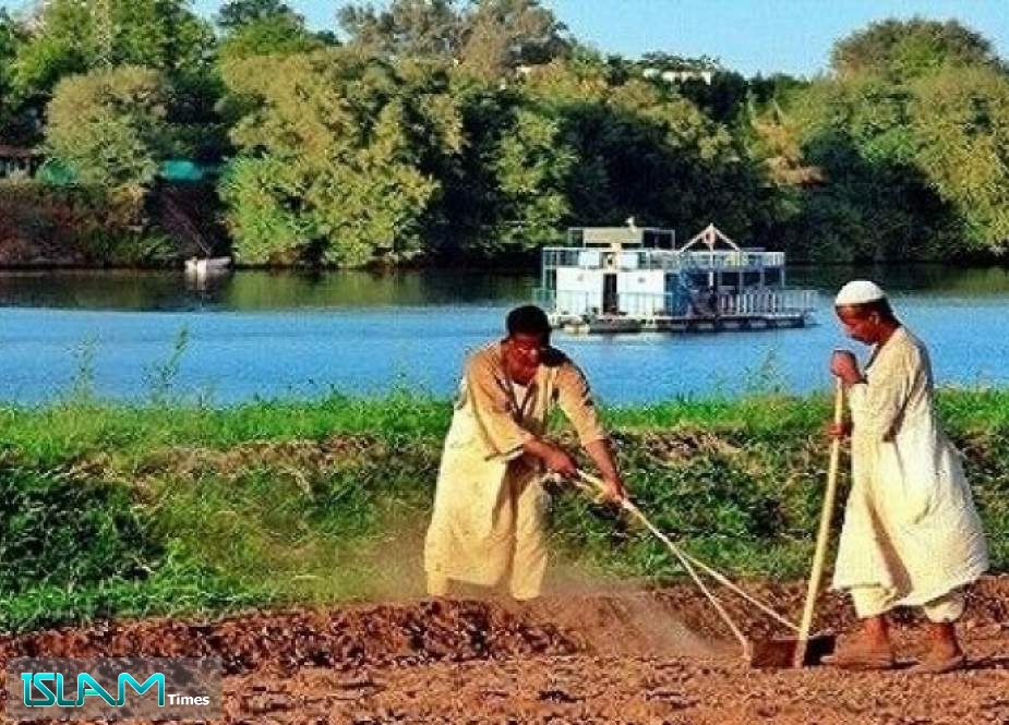 السودان سيخسر نصف أراضيه الزراعية بسبب سد النهضة