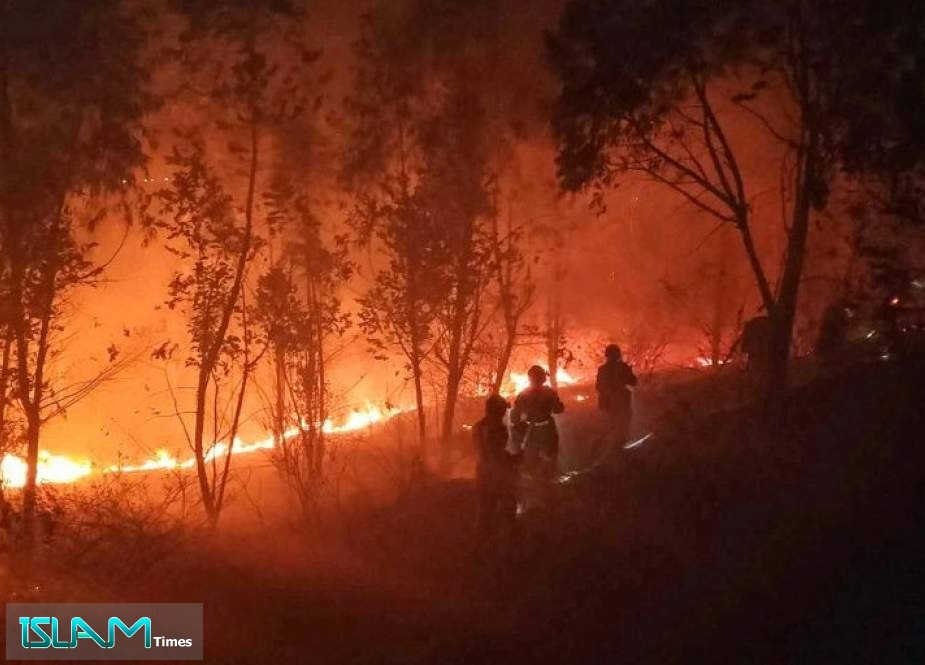 19 Killed in Massive China Forest Fire