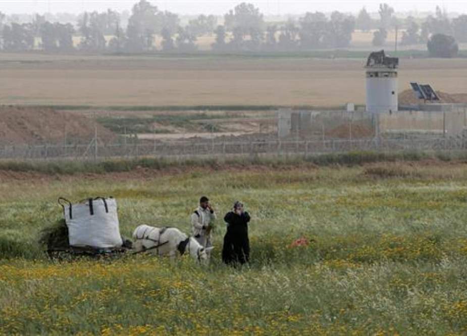 Palestinian farmers as they work on their field, east of Khan Younis, in the besieged Gaza Strip.jpg