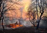 Ukraine Wildfires Creep Closer to Chernobyl  <img src="https://www.islamtimes.org/images/picture_icon.gif" width="16" height="13" border="0" align="top">
