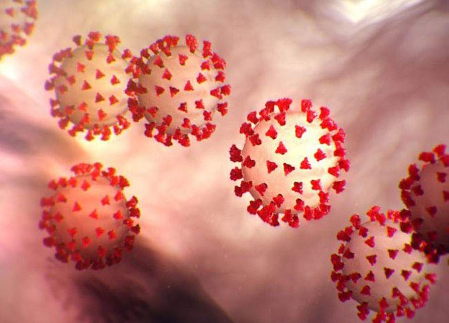 کرونا وائرس، گلگت بلتستان میں 20 مریض صحت یاب، ایک نیا کیس