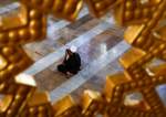 Ramadan Begins amid Global Pandemic  <img src="https://www.islamtimes.org/images/picture_icon.gif" width="16" height="13" border="0" align="top">