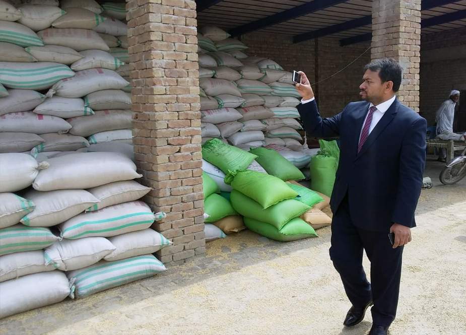 سندھ میں سرکاری گوداموں سے 15 ارب 35 کروڑ روپے کی گندم غائب ہونے کا انکشاف