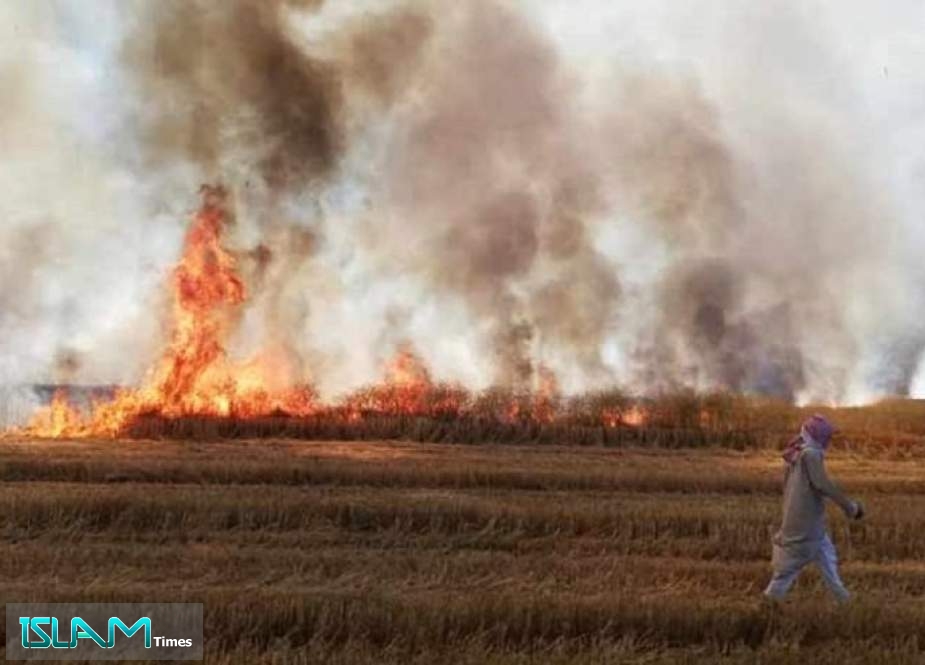 سوريا.. المجموعات المسلحة تضرم النار في حقول القمح بالرقة