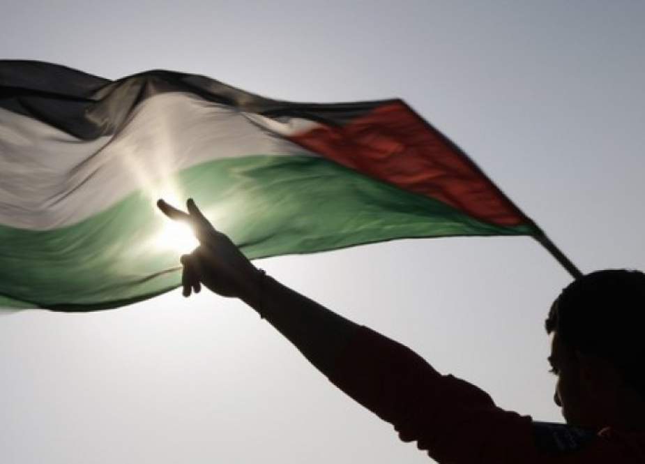 Palestinian and Palestina Flag.jpg