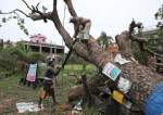 India: Workers Clear Kolkata of Fallen Trees in Aftermath of Cyclone Amphan  <img src="https://www.islamtimes.org/images/picture_icon.gif" width="16" height="13" border="0" align="top">