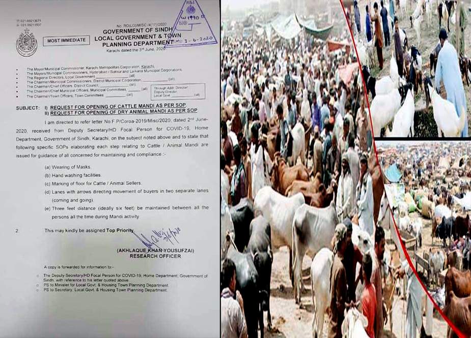 کراچی سمیت سندھ بھر میں مویشی منڈیوں کی اجازت دینے کا فیصلہ