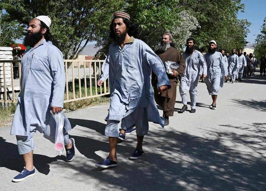 Talibana ağır zərbə: Çoxlu sayda terrorçu məhv edildi