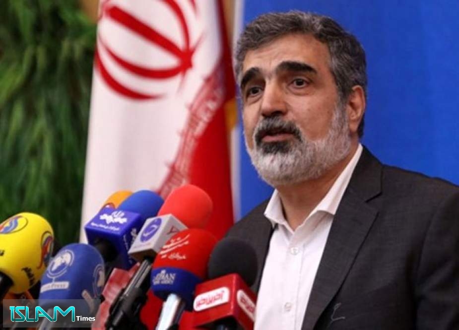 كمالوندي: ايران مستعدة للتعاون بمجال التكنولوجيا النووية