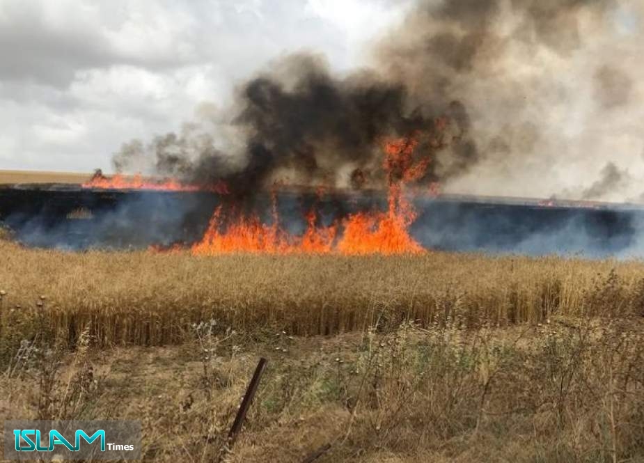 25 حريقا اندلعت في غلاف غزة المحتل بفعل بالونات حارقة
