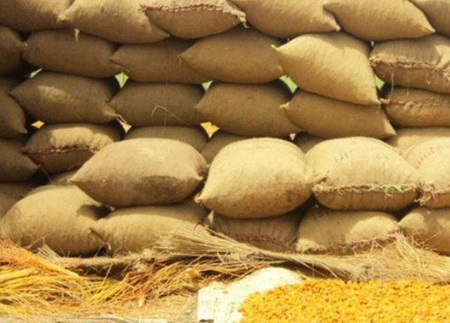 گندم کی درآمد، پنجاب میں قیمتوں میں کمی