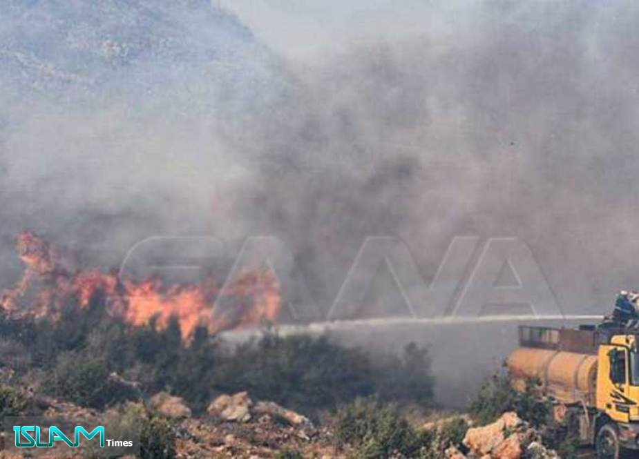 Syria Wildfires Consume Large Areas, Firefighting Efforts Underway
