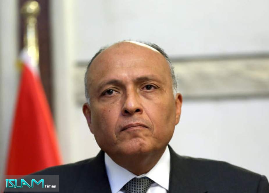 Egypt FM Urges Arab Unity to Deter Turkey