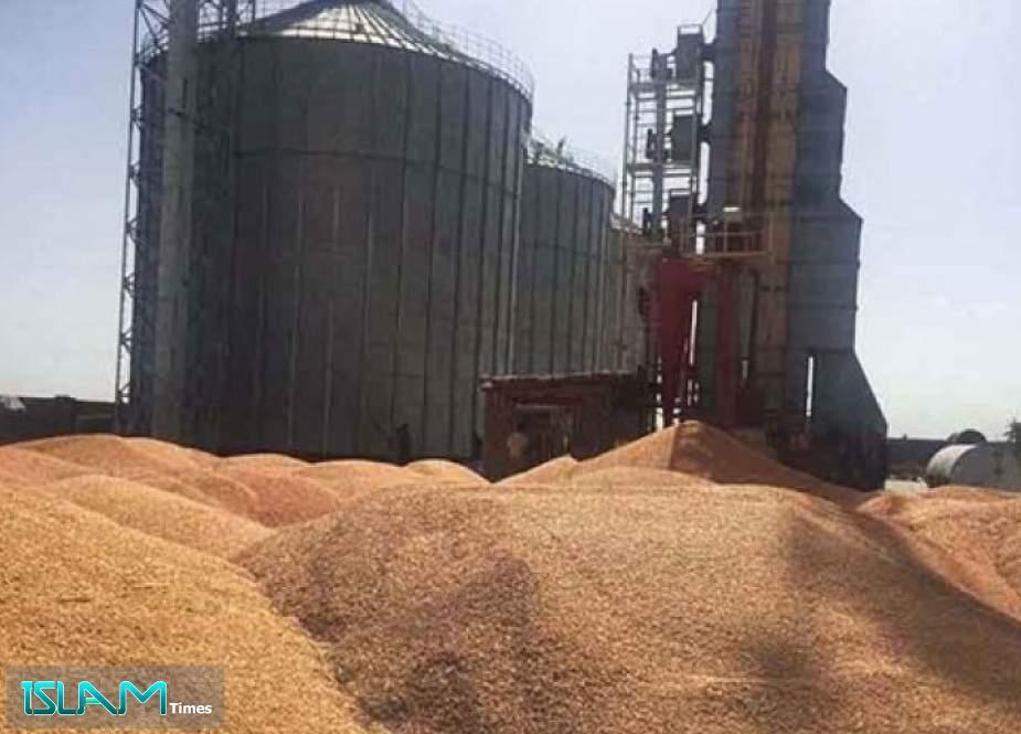 مشتريات إيران من القمح المحلي 8.3 مليون طن