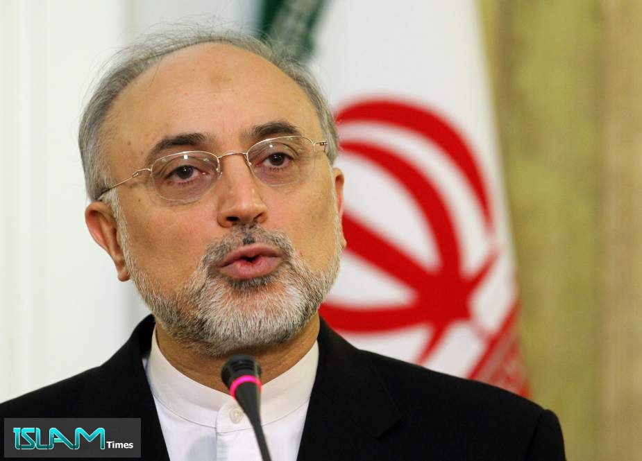 Iran’s Salehi: Uranium Enrichment Underway at Fordow Nuclear Facility
