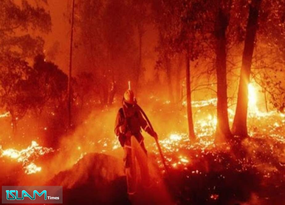 إخلاء مئات المنازل بعد اجتياح حرائق الغابات لولاية كاليفورنيا