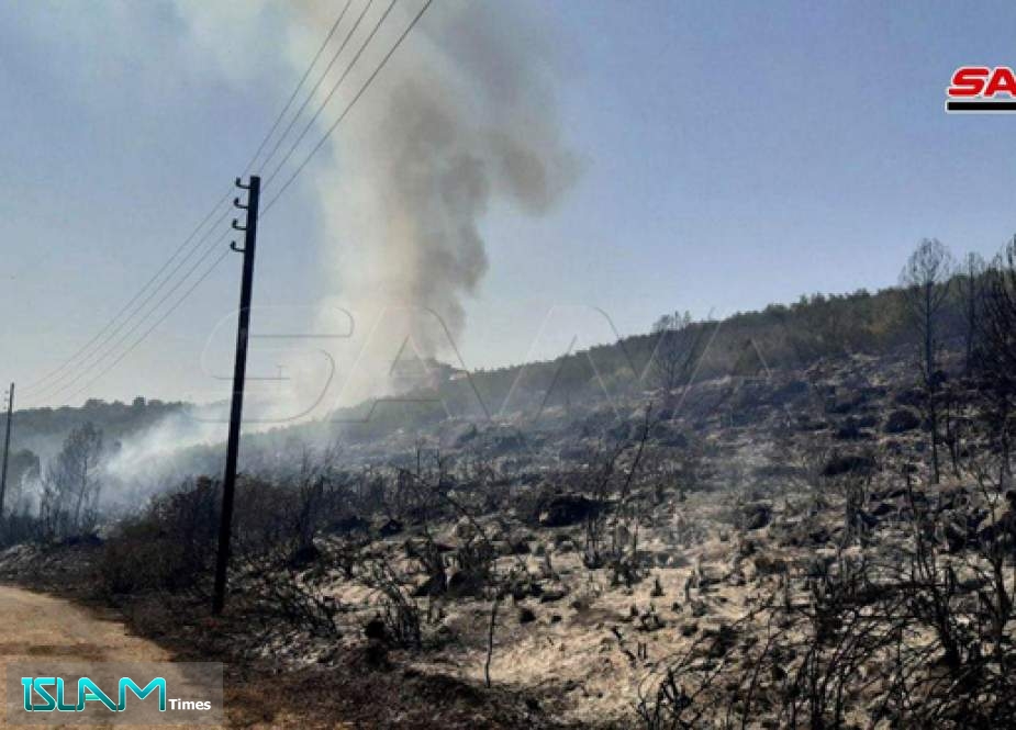 Firefighters in Syria’s Lattakia Extinguish All Fires