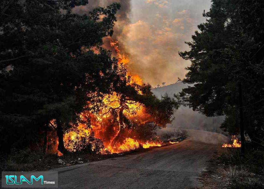 Fires Brought under Control in Syria, Lebanon