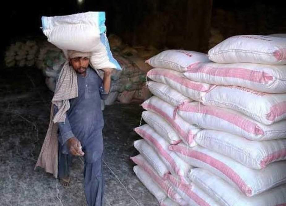 حکومت نے بیرون ملک سے گندم خرید کر 30 لاکھ ٹن کے شارٹ فال کو پورا کرلیا