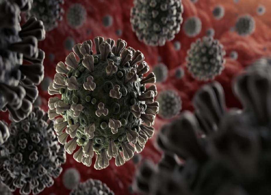 کورونا وبا، مزید 1 ہزار 650 نئے کیسز رپورٹ، 9 اموات